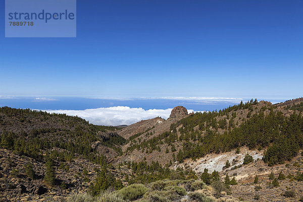Landschaft im Teide Nationalpark  UNESCO-Weltnaturerbe