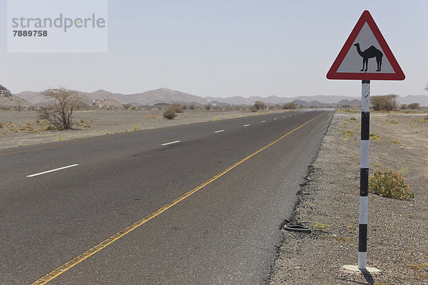 Verkehrsschild  Vorsicht Kamele