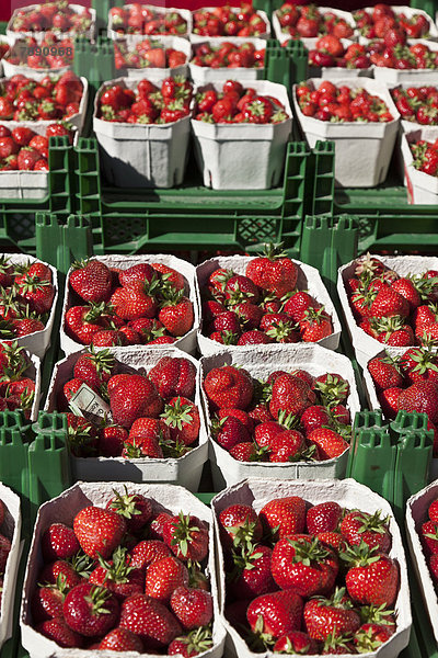 Erdbeere  Außenaufnahme  verkaufen  Markt