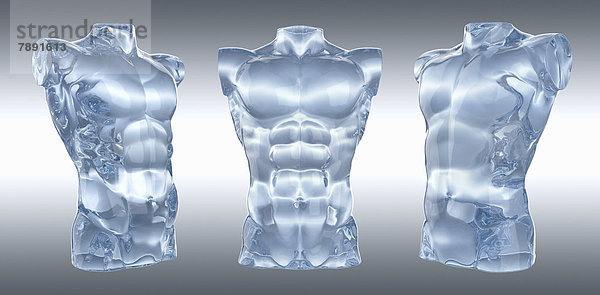 Drei anatomische Modelle eines männlichen Oberkörpers