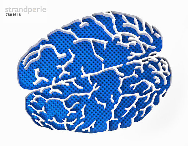 Blaues Gehirn