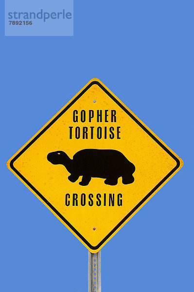 Warnschild Gopher-Schildkröten queren die Fahrbahn