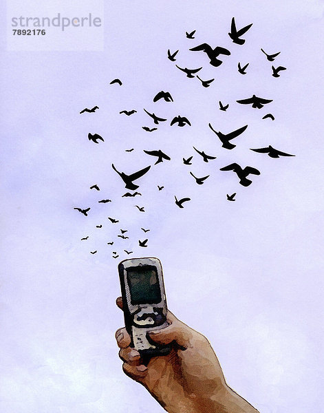 Vögel fliegen über einer Hand mit Handy