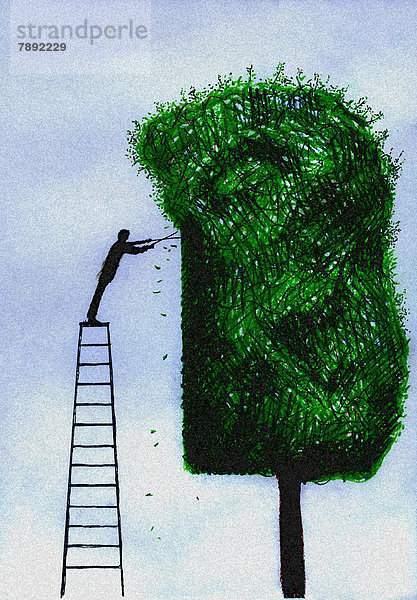 Mann auf einer Leiter beschneidet einen Baum