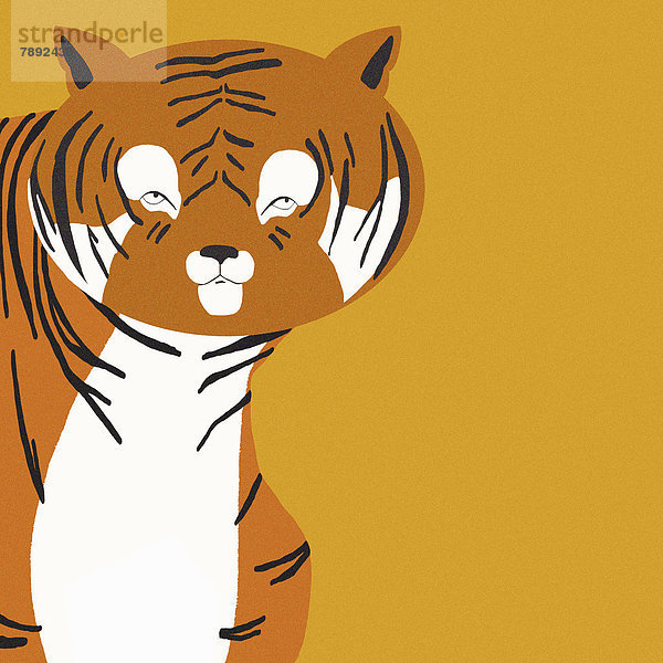 Portrait eines Tigers auf orangefarbenem Hintergrund
