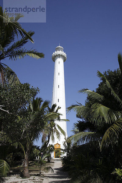Leuchtturm Îlot Amédée oder Phare Amédée zwischen Palmen  vor blauem Himmel