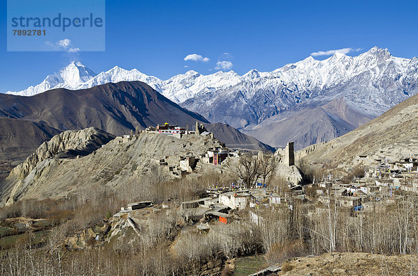 Dhaulagiri Mountain  8167 m  Jhong Village in the foreground  seen from Muktinath