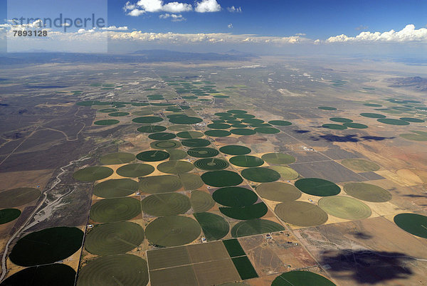 Luftbild  runde Felder  Bewässerung