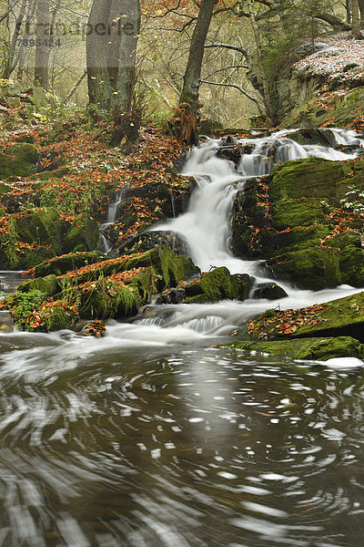 Wasserfall der Selke im Herbst