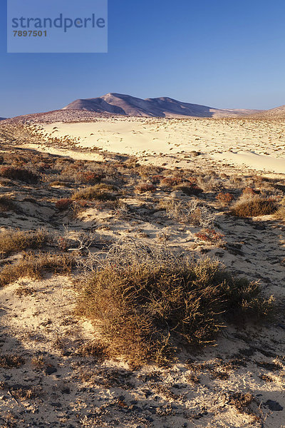 Wüstenhafte Landschaft