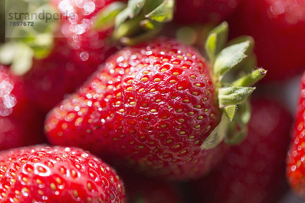 Nahaufnahme von Erdbeeren