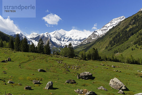 Glocknergruppe  Sicht von Großglockner Hochalpenstraße