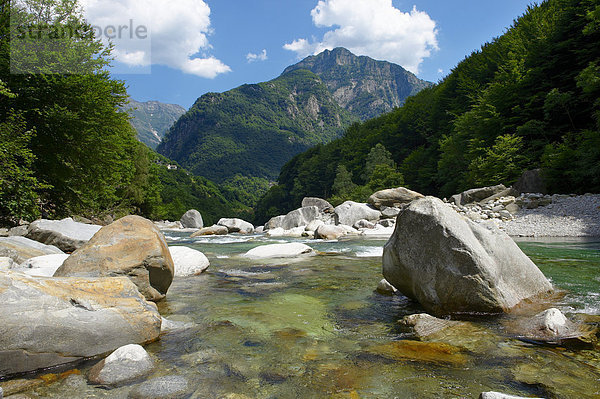 Felsiger Fluss im Alpenvorland  im abgelegenen Tal des Val Verzasca  bei Lavertezzo  Tessin  Schweiz  Europa