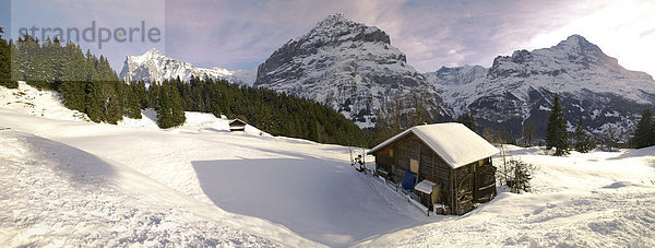 nahe Europa Winter unterhalb Berg Chalet Westalpen Grindelwald Schnee schweizerisch Schweiz Schweizer Alpen