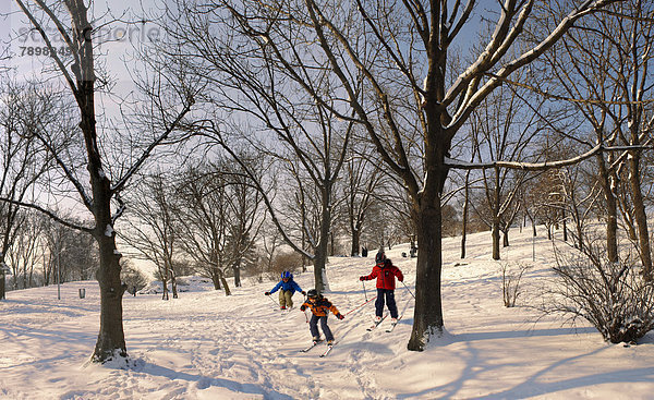 Kinder beim Skilaufen im schneebedeckten Stadtpark  Városliget  Budapest  Ungarn  Europa