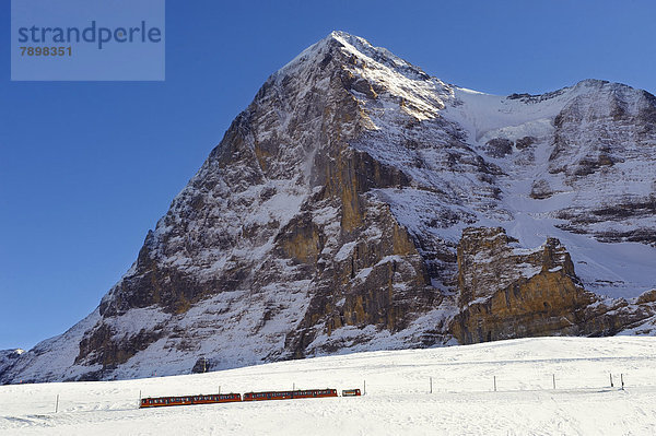 Jungfraujoch  Zug vor dem Eiger  Schweizer Alpen  Schweiz  Europa