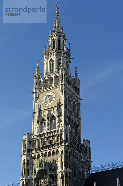 Spitzturm  Neues Rathaus