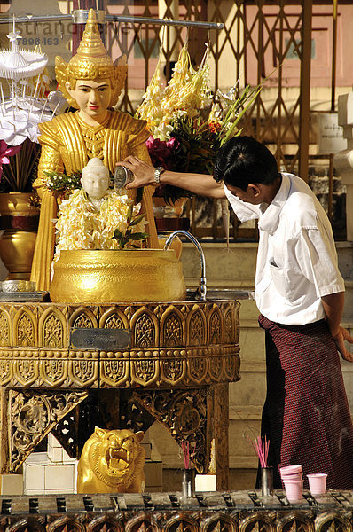 Mann gießt Wasser über Buddha-Statue  buddhistisches Ritual  Shwedagon-Pagode