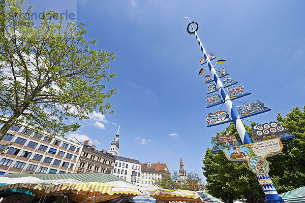 Viktualienmarkt mit Maibaum und bunten Sonnenschirmen der Verkaufsstände  hinten Sankt Peter und alter Rathausturm