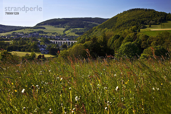 Frühlingslandschaft mit Viadukt