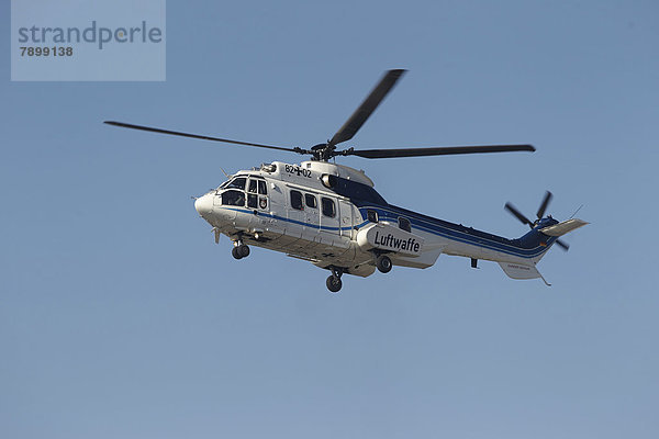 Handel Verteidigung Himmel Hubschrauber Aufgabe Puma Felis concolor Berglöwe deutsch verlassen Ministerium