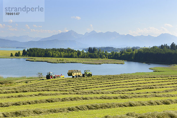 Der Illasbergsee  hinten der Hopfensee