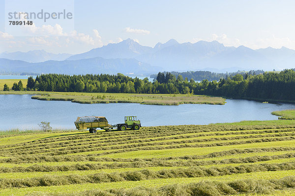 Der Illasbergsee  hinten der Hopfensee