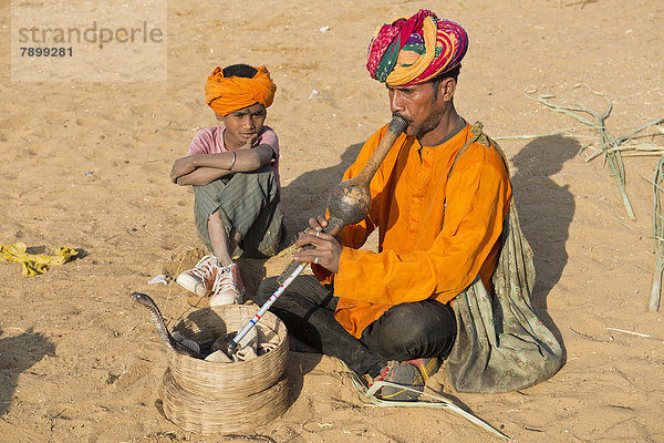 Schlangenbeschwörer  Rajasthani  mit Turban  bläst auf einer Tröte  vor ihm windet sich eine Kobra oder Naja aus einem Korb  neben ihm sein Sohn