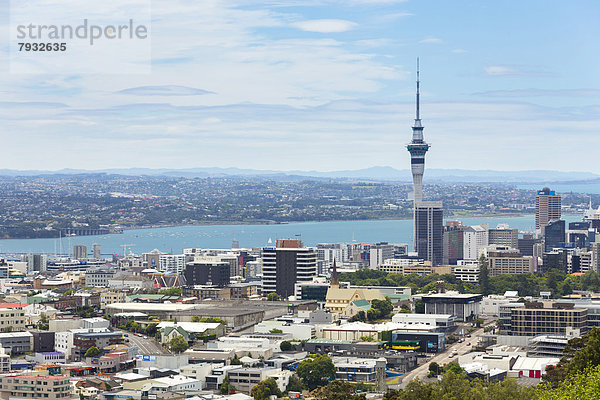 Skyline von Auckland mit Skytower und dahinter Takapuna