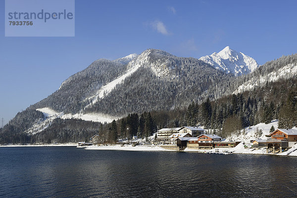 Winter morning at Walchensee Lake  Mount Herzogstand