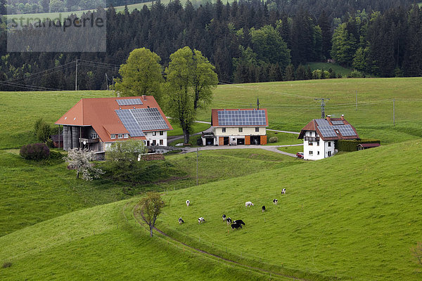 Old farm with outbuildings  solar panels on the roofs