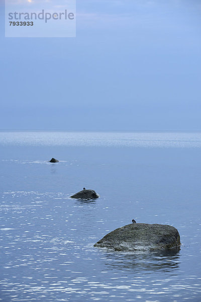 Felsbrocken sitzend Stein Strand Meer weiß blau Baltikum Stunde