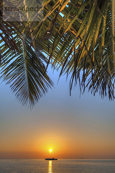 Sonnenuntergang mit einer Dohni  einem maledivischen Fischerboot  und einer Palme