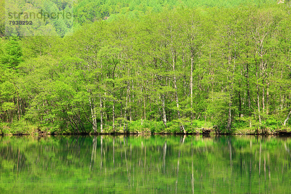 Wasser  Baum  Teich  Spiegelung  Nagano