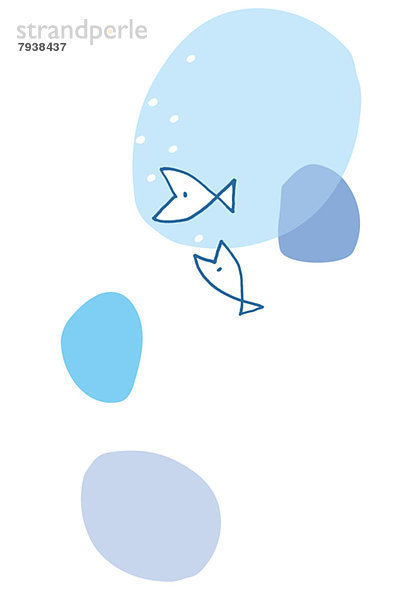 Fishes illustration