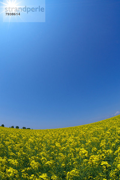 Hokkaido