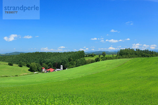 Hokkaido