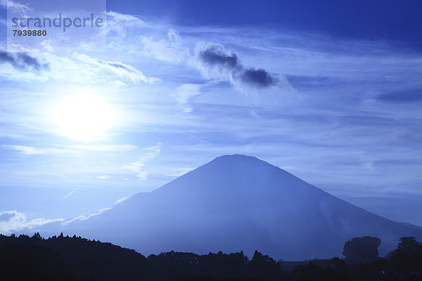 Shizuoka Präfektur