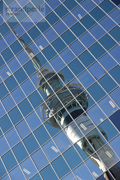 Spiegelung des Sky Towers im Philip Fox Building