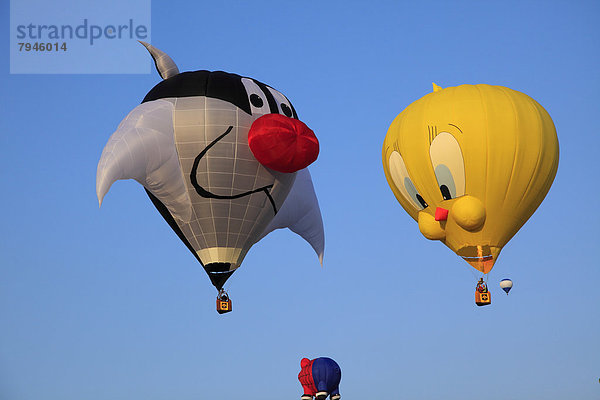 Heißluftballons  Ballon-Festival