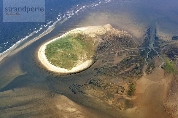 Luftbild  die Insel Nigehörn  im Hamburgischen Wattenmeer