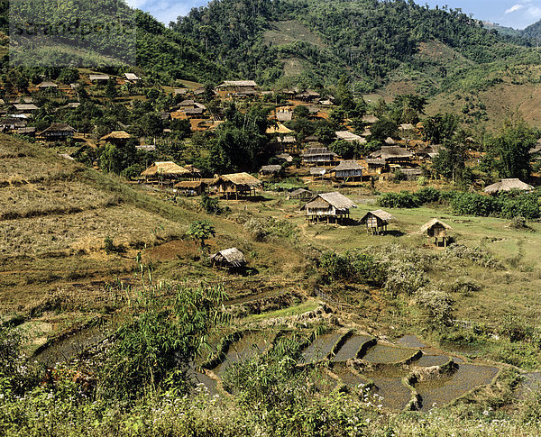 Akha-Dorf an der burmesischen Grenze im Westen von Chiang Rai  Reisfelder  Reisterrassen