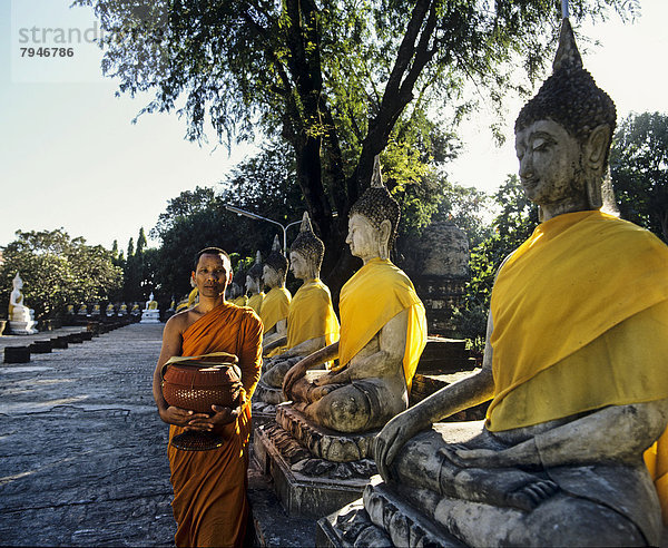 Mönch mit Bettelschale  sitzende Buddha-Statuen im Garten des Tempels Wat Yai Chai Mongkon  UNESCO-Weltkulturerbe