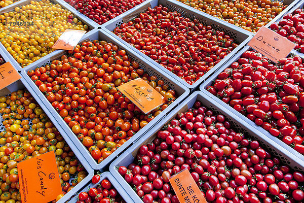 Verschiedene Tomatensorten an einem Marktstand
