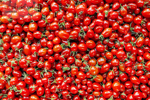 Zebrino-Tomaten
