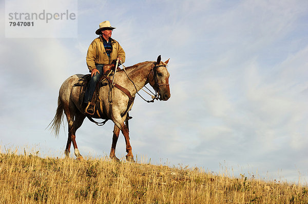 Cowboy reitet auf dem Pferd durch die Prärie