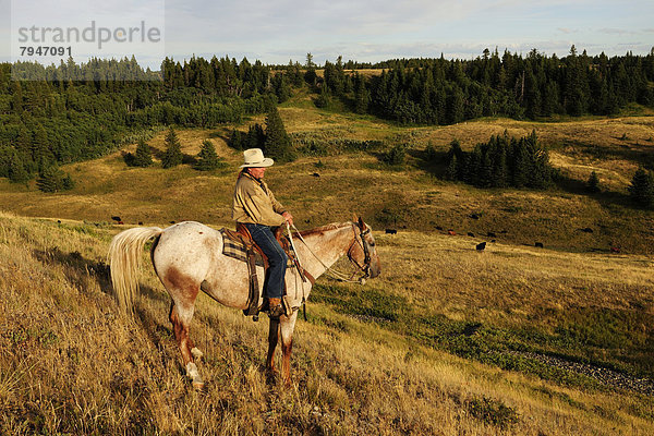 Cowboy reitet auf dem Pferd durch die Prärie
