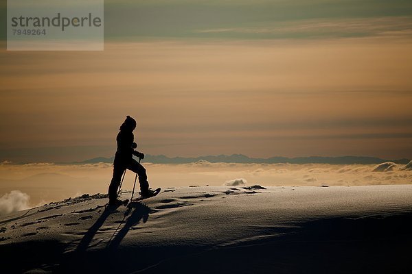 Schneeschuh  Berg  Mount Seymour