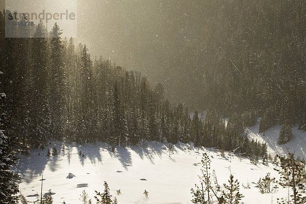 Montana back country.