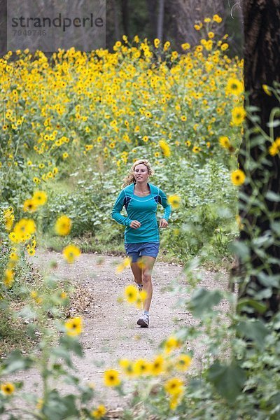 Frau  folgen  rennen  umgeben  Sonnenblume  helianthus annuus